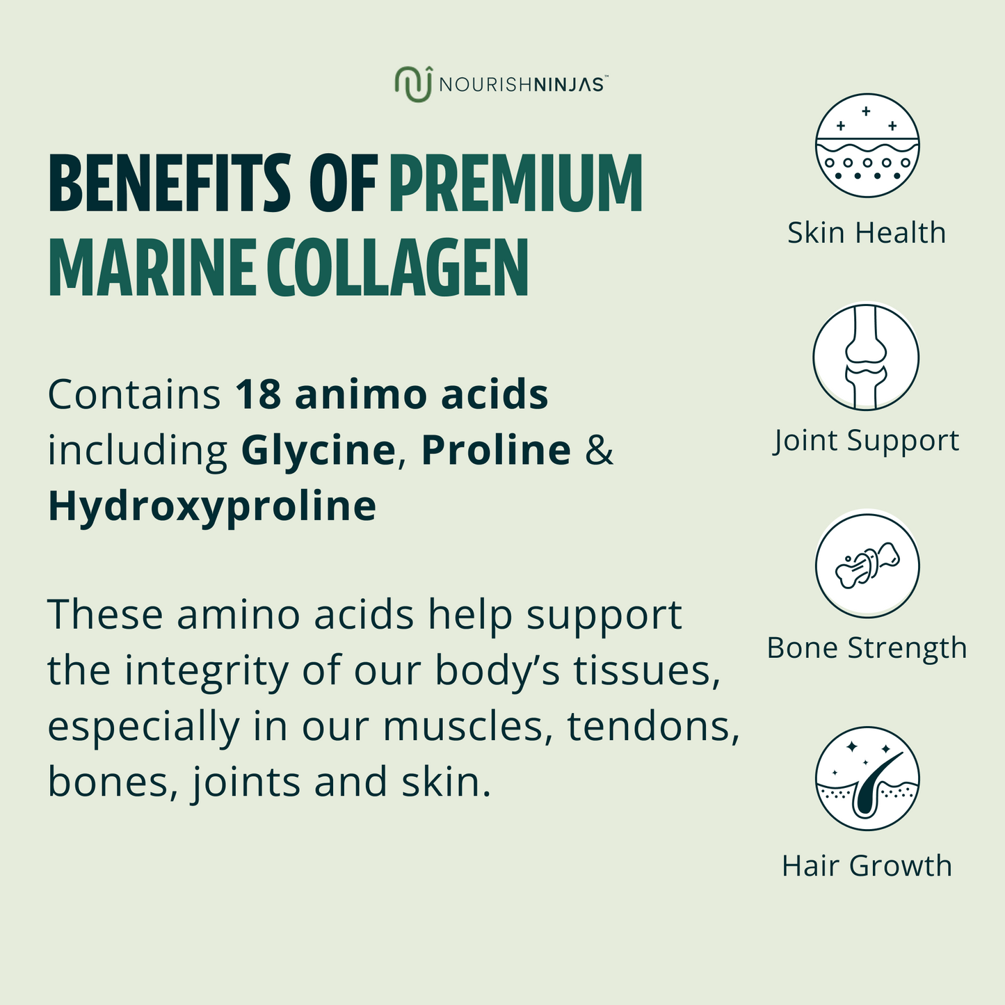 Marine Collagen Powder