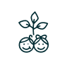 Growth and  development
